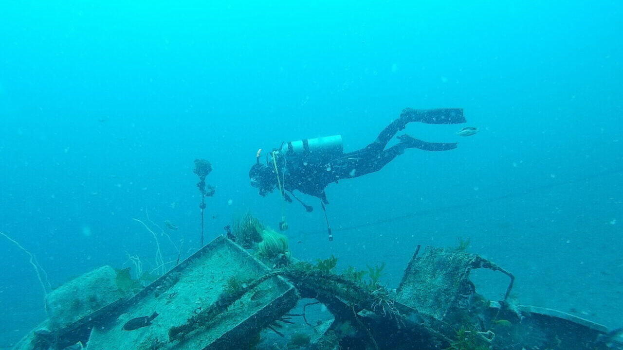 ダイブテリーズ