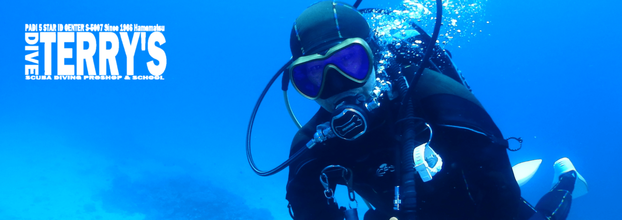 ダイブテリーズ