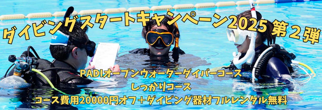 ダイブテリーズ