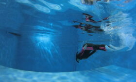 ダイブテリーズ