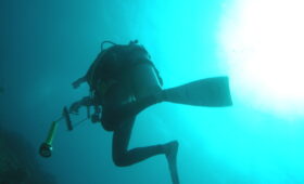 ダイブテリーズ