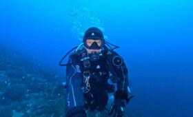 ダイブテリーズ