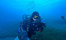 ダイブテリーズ