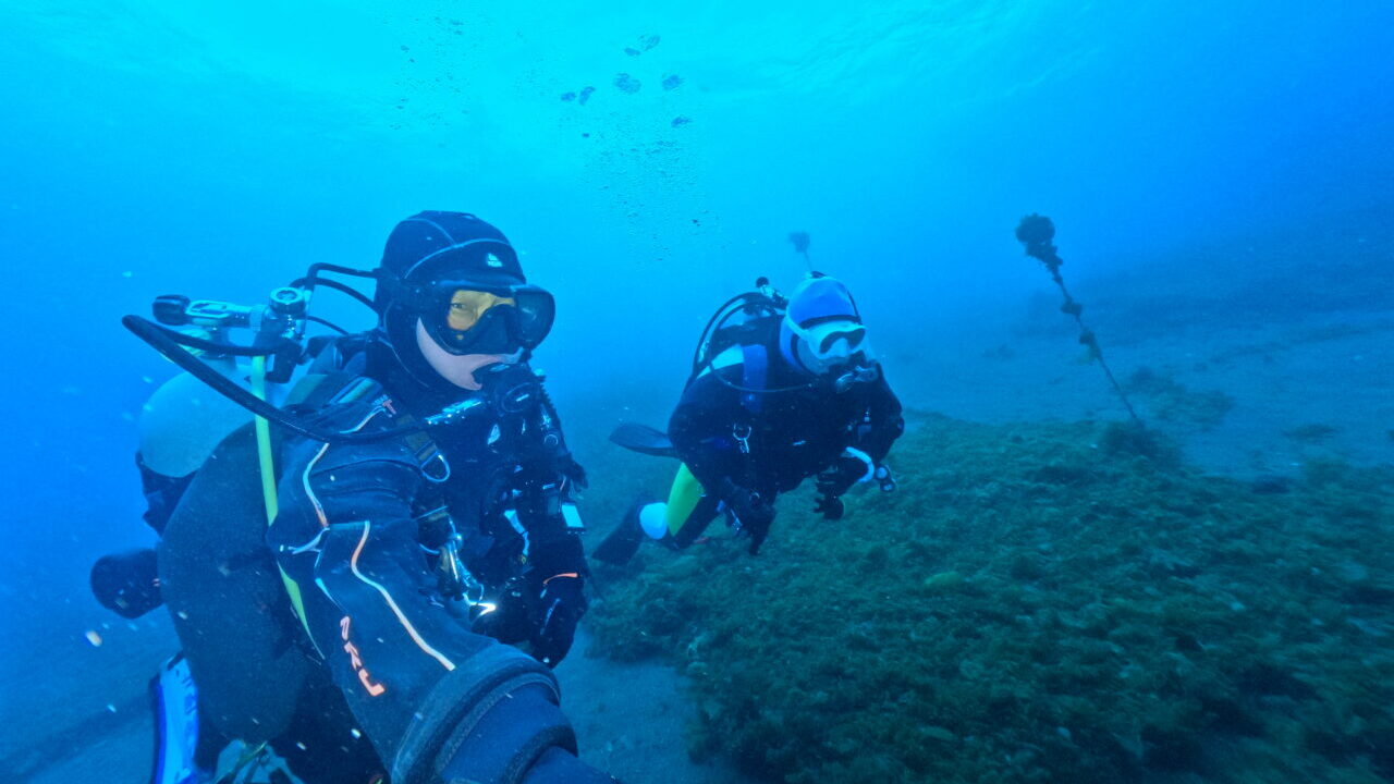 ダイブテリーズ ダイバー2名