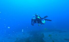 ダイブテリーズ ダイバー