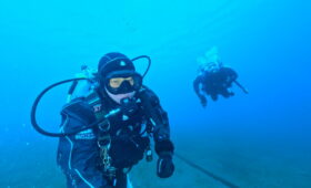 ダイブテリーズ