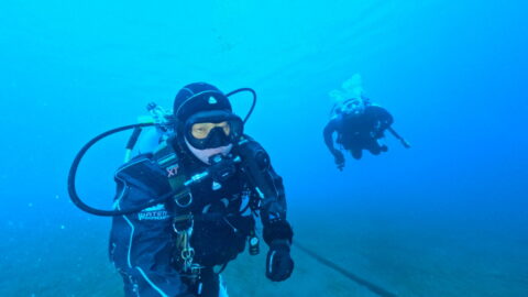 ダイブテリーズ