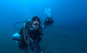 ダイブテリーズ