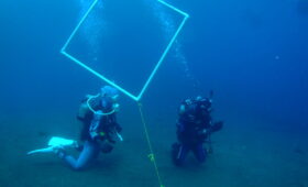 ダイブテリーズ