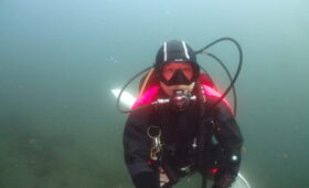 ダイブテリーズ