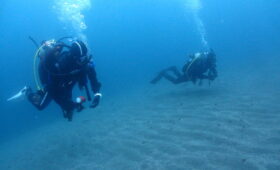 ダイブテリーズ