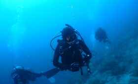 ダイブテリーズ