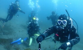 ダイブテリーズ