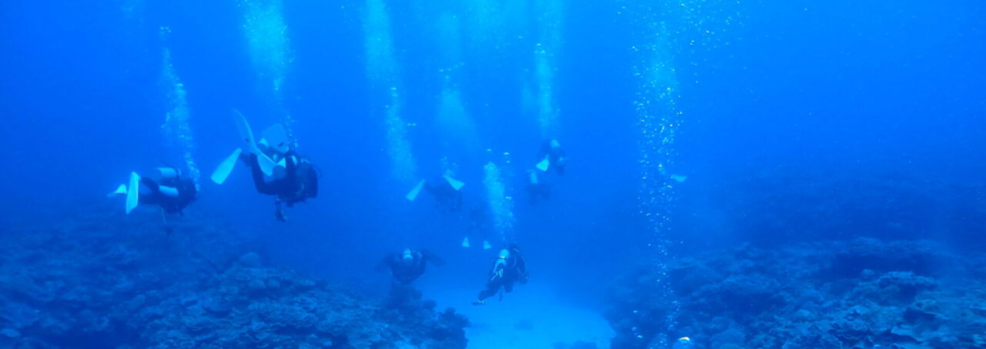 ダイブテリーズ