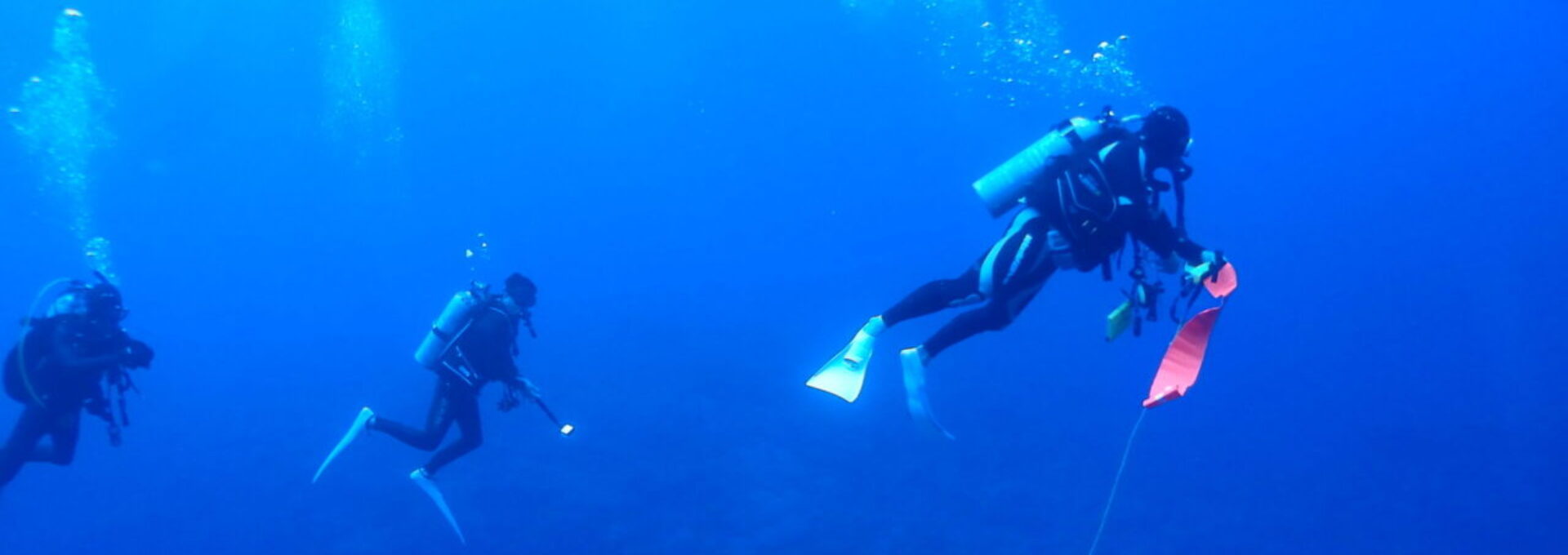 ダイブテリーズ