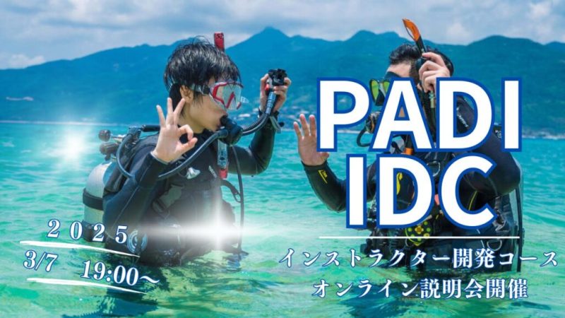 ダイブテリーズ