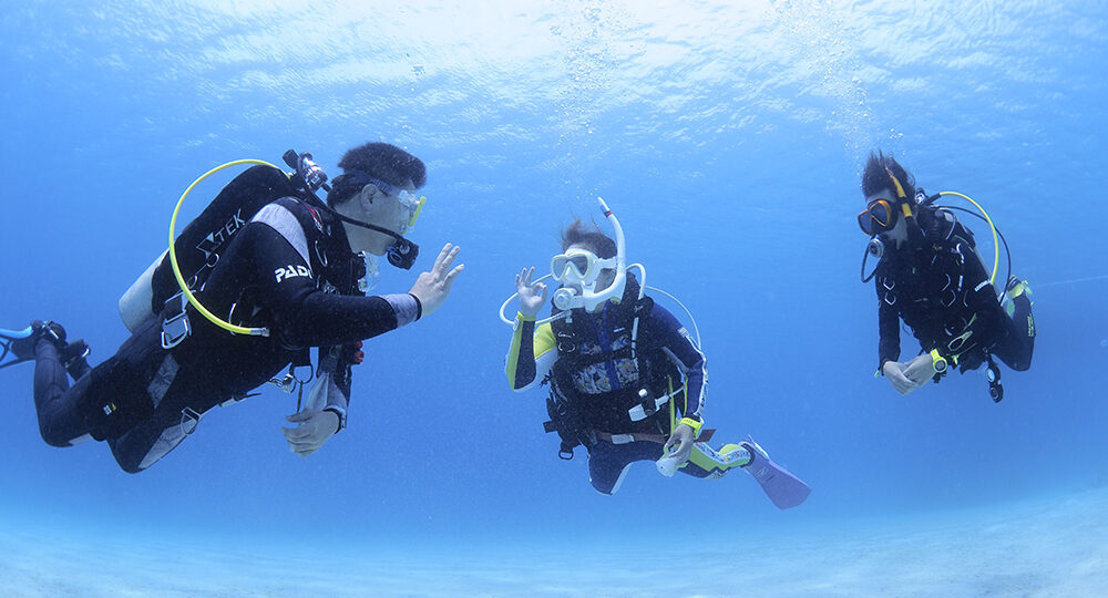 ダイブテリーズ