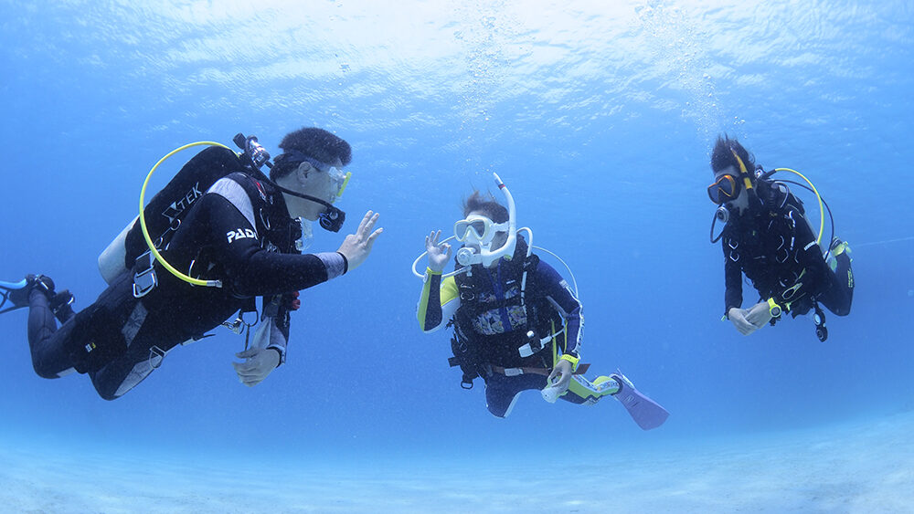 ダイブテリーズ