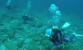 ダイブテリーズ