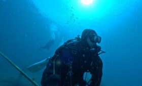 ダイブテリーズ