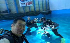 ダイブテリーズ