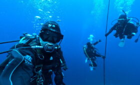 ダイブテリーズ