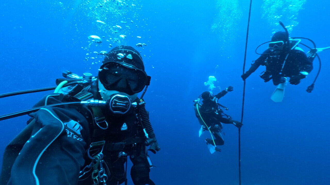 ダイブテリーズ