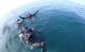 ダイブテリーズ