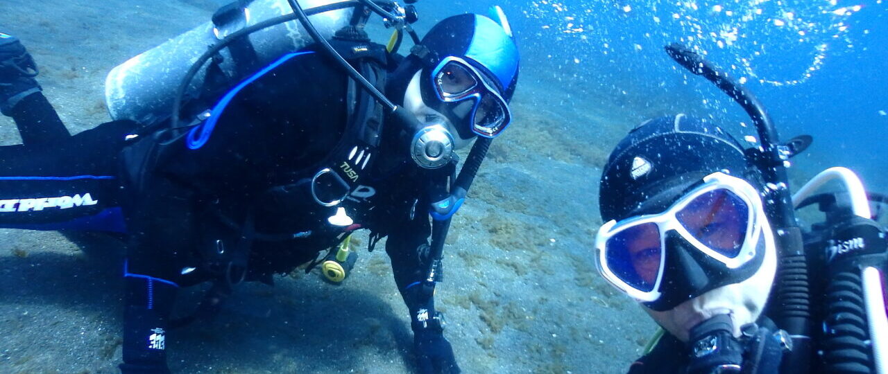 ダイブテリーズ