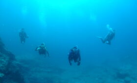 ダイブテリーズ