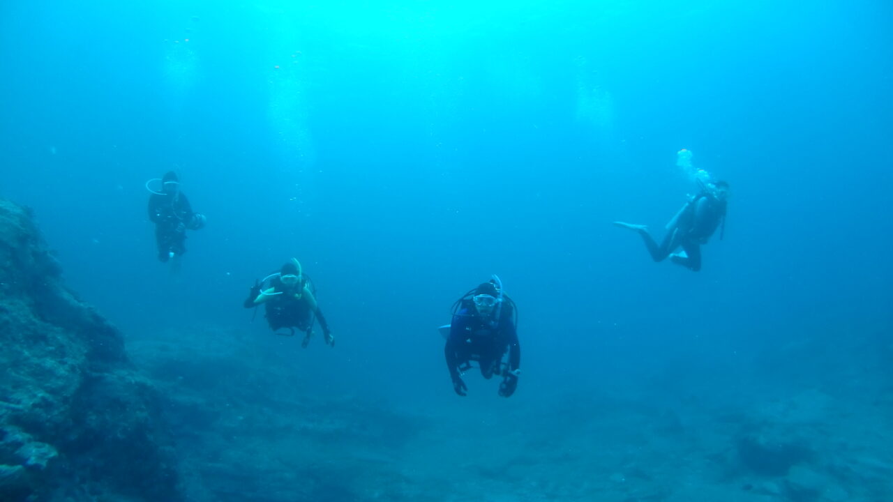 ダイブテリーズ