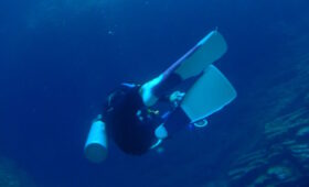 ダイブテリーズ