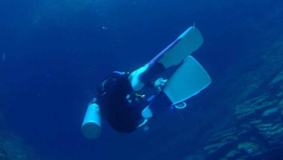 ダイブテリーズ