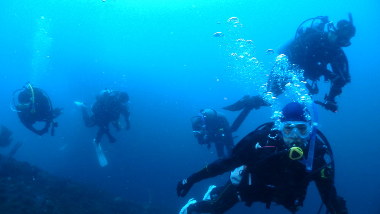 ダイブテリーズ