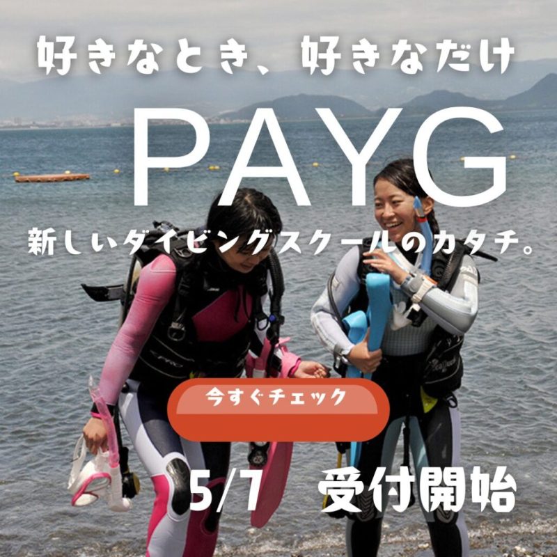 ダイブテリーズ