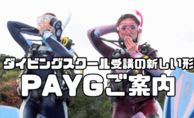 ダイブテリーズ