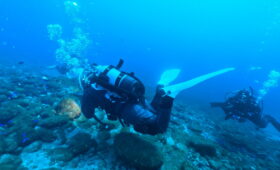 ダイブテリーズ