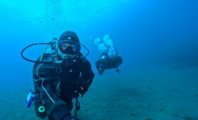 ダイブテリーズ