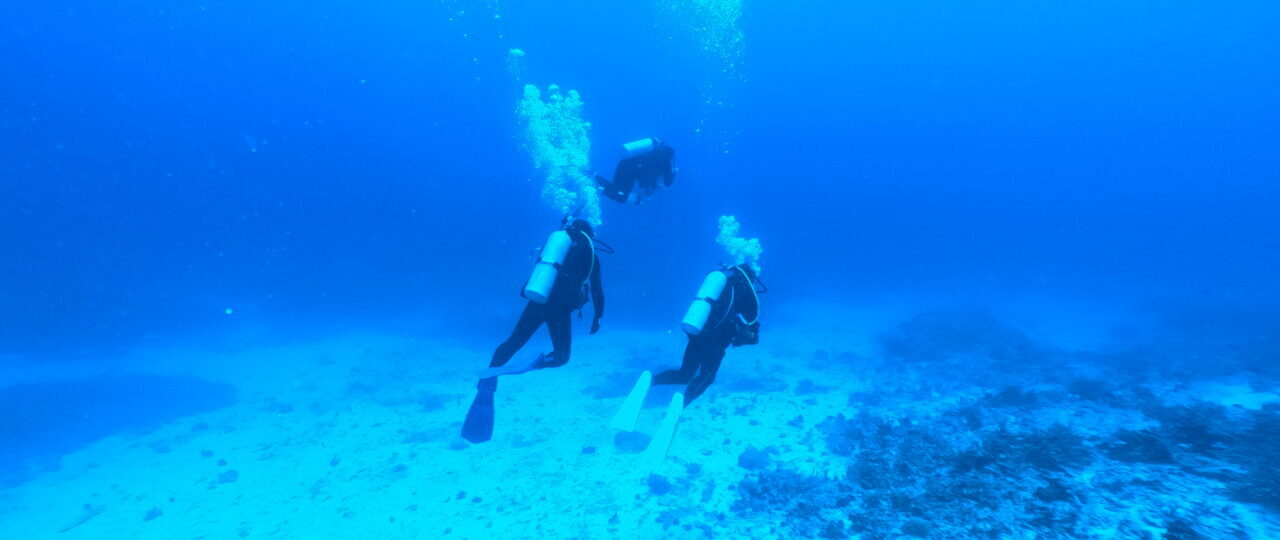 ダイブテリーズ