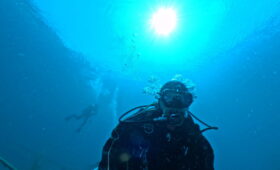 ダイブテリーズ