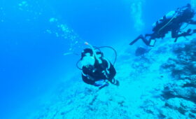 ダイブテリーズ