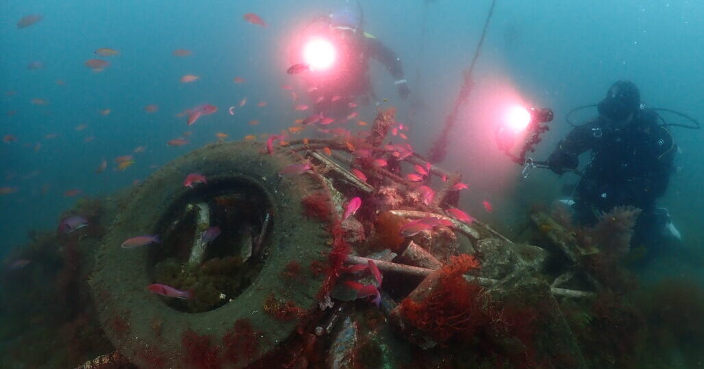 ダイブテリーズ