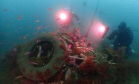 ダイブテリーズ