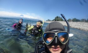 ダイブテリーズ