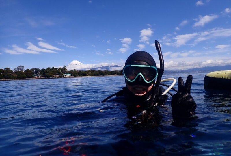 ダイブテリーズ