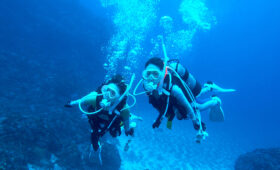 ダイブテリーズ