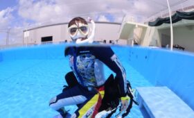 ダイブテリーズ