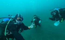 ダイブテリーズ