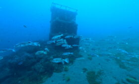 ダイブテリーズ