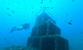 ダイブテリーズ